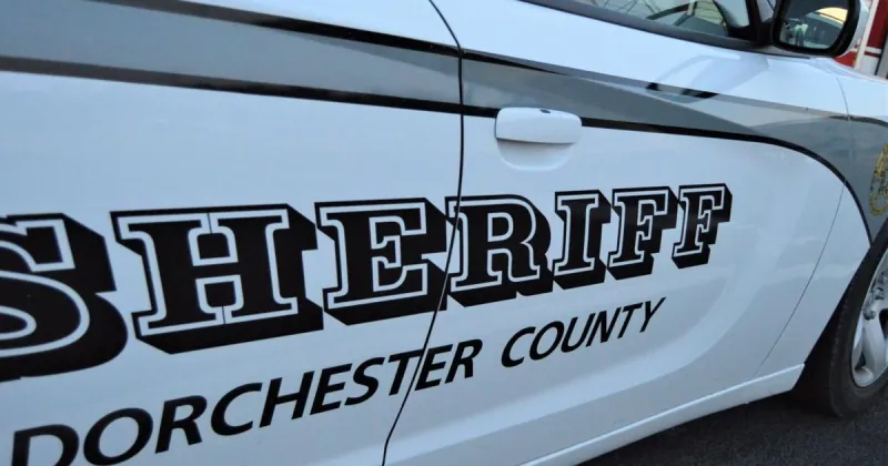5-year-old killed in Ladson dog attack, coroner says