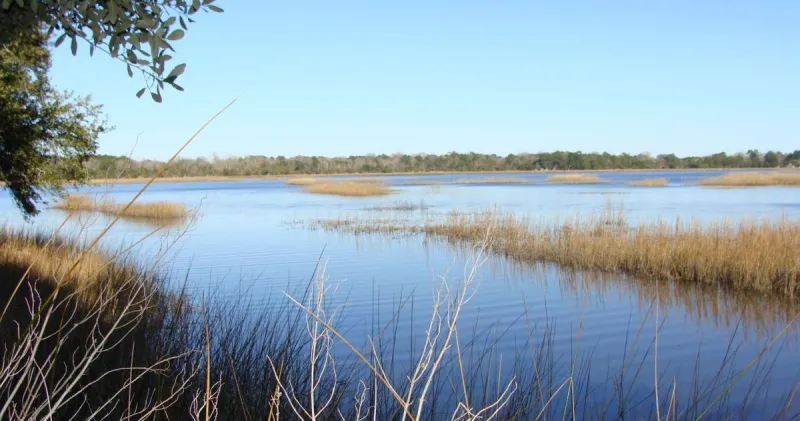 The Rantowles area outside of Charleston played a major role in Revolutionary history