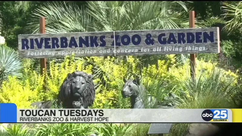 Local Living: Summer Break Cafes, Toucan Tuesdays, Friday night laser lights, Reggaetronic