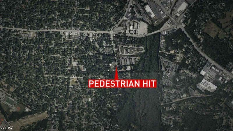 Pedestrian thrown into embankment during crash dies