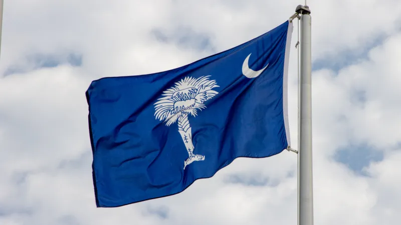 New South Carolina laws take effect July 1: Here's what to know