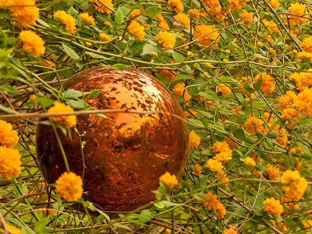 Ornamental gazing globes add glimmer to the garden. Here's how to make them pop