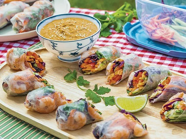 Shrimp and veggie spring rolls with peanut sauce