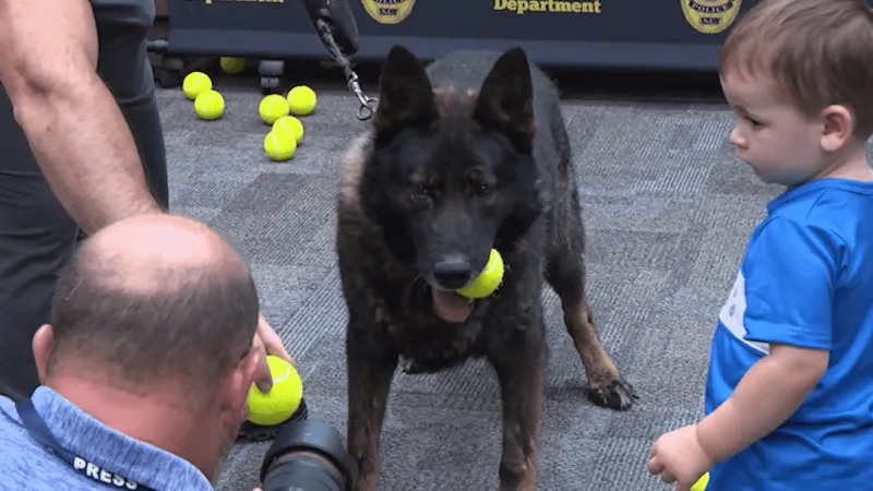 Horry County police honor retiring K-9 Ori after 8 years of service