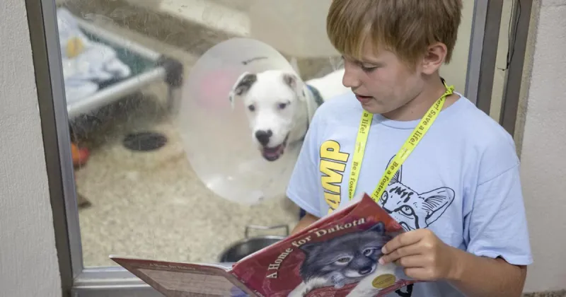 Charleston Animal Society offers summer program where kids can read to shelter animals