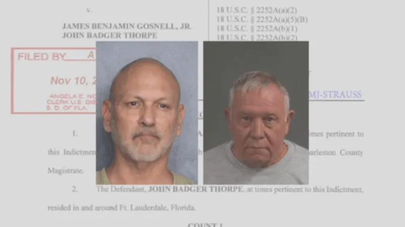 Former Charleston magistrate judge James Gosnell Jr. pleads guilty to child porn charges