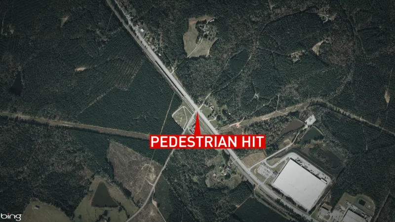 Coroner identifies pedestrian hit in late-night crash