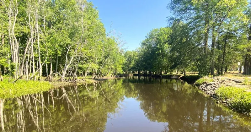VINTAGE ORANGEBURG COUNTY/DAY 87: Preachers walked free over Edisto's early bridge