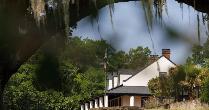 Charleston's colonial naturalist and his fragrant, namesake flower