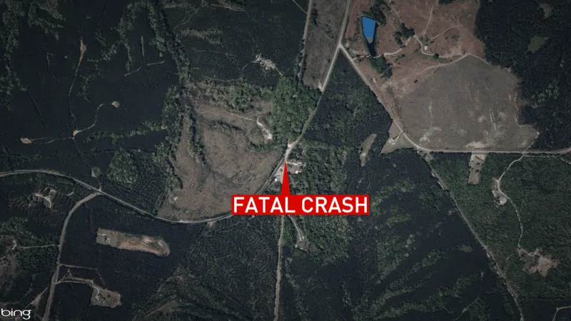 Coroner identifies passenger killed in crash after vehicle hits trees and overturns