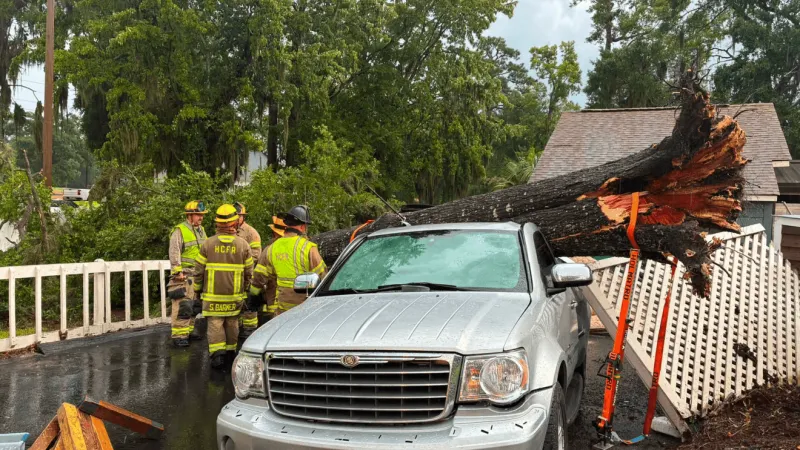 1 hurt after tree falls on vehicle at business on North Kings Highway
