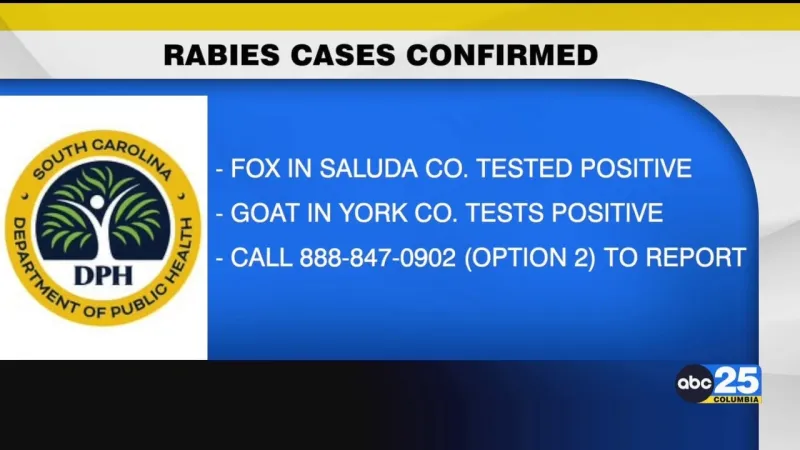 State health officials confirm two animals test positive for rabies