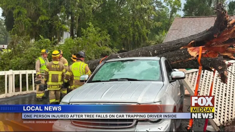 One Hurt After Large Tree Falls On Vehicle In Horry Co.