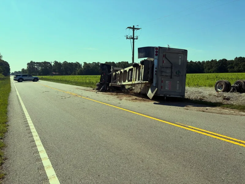 SCHP investigating fatal hit and run