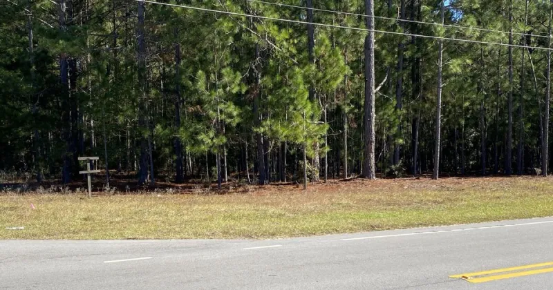 Orangeburg County buys land for Cannon Bridge Road park