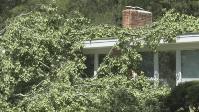Storms topple trees, damage Forest Acres neighborhoods in the Midlands