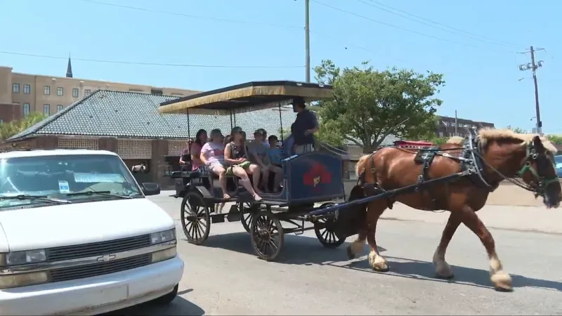 Charleston cancels horse-drawn carriage tours Thursday under extreme heat warning