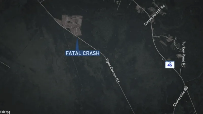 Driver dies at scene after car hits fallen tree on Tiger Corner Road, SCHP says