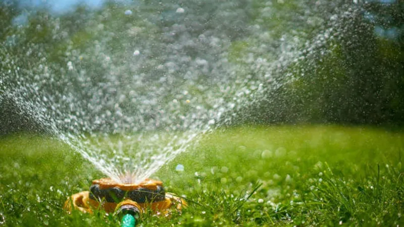 Georgetown residents urged to conserve water as drought strains supply