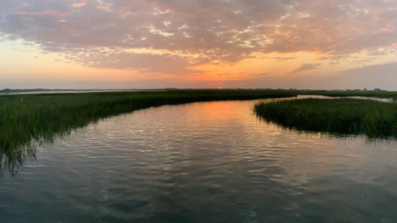 Preserve Murrells Inlet, Georgetown Co. reach deal to improve Inlet water quality