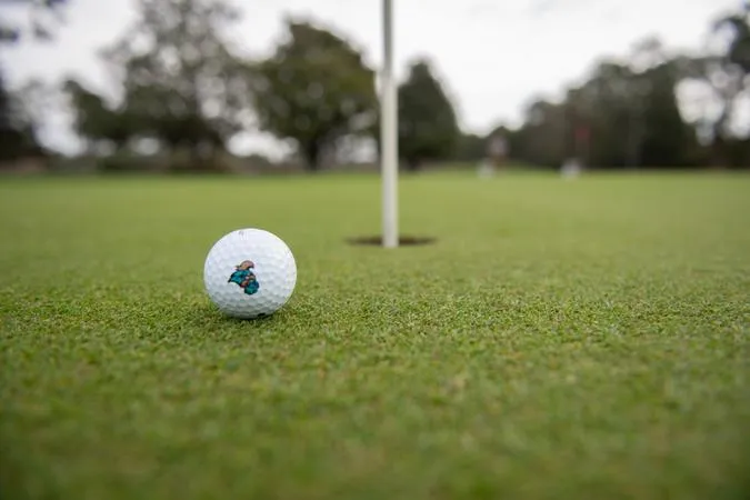Multiple Chants Named WGCA All-America Scholars