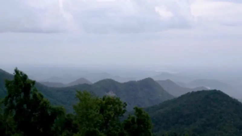 Hike around with SC7 and experience the natural wonders of the Palmetto State
