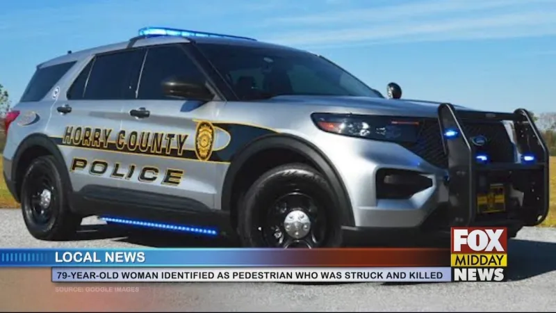 79-Year-Old Woman Identified As Fatally Struck Pedestrian