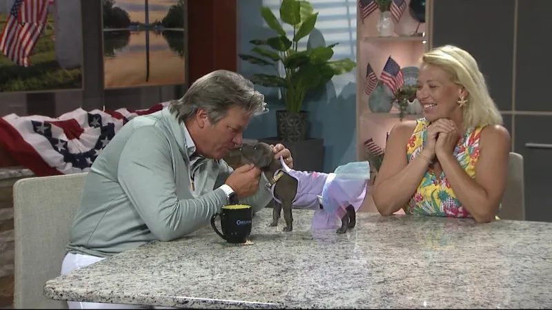 Meet Trixie from Kind Keeper Animal Rescue!