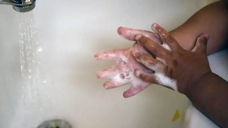 North Carolina reports over 300 cases of diarrhea-causing cyclosporiasis since May