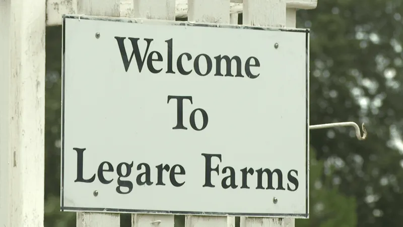 Recent rain brings much-needed relief to Lowcountry farmers after weeks of drought