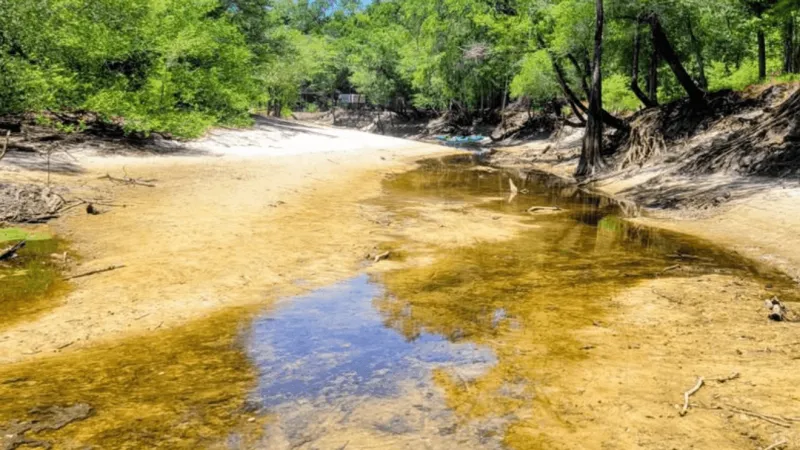 Rivers across the Carolinas at low levels but above record summer lows