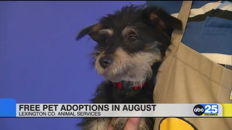 Lexington County Animal Services hosting free August pet adoptions