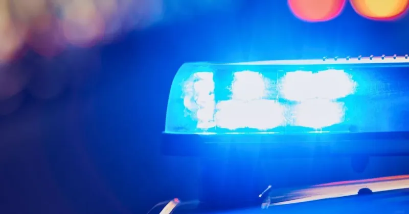 Denmark man shot and killed