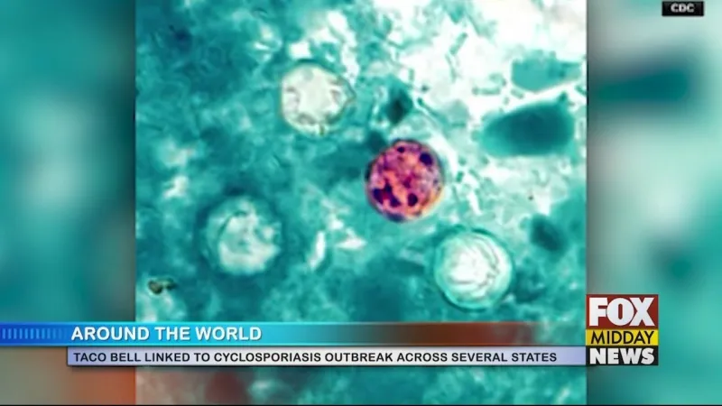 Taco Bell Linked To Cyclosporiasis Outbreak