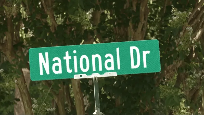 More than 20 vehicles broken into, three stolen in Mount Pleasant neighborhood overnight