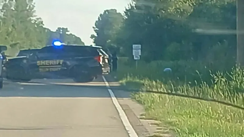Man airlifted after fall from Dillon Co. bridge