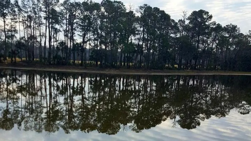 Boone Hall Plantation & Gardens expected to be transferred to a nonprofit