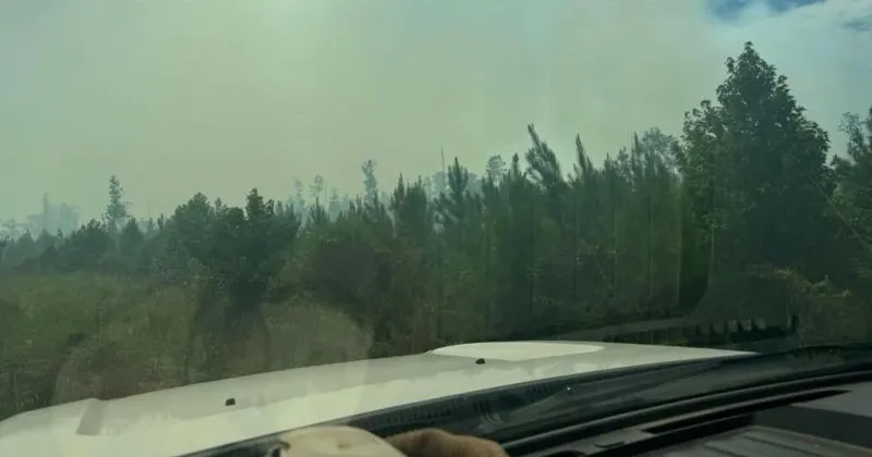 Wildfire burning 800 acres on Horse Island in Francis Marion National Forest