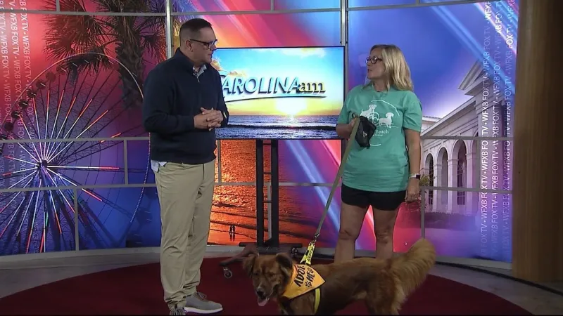 Meet Ember from By the Beach Animal Rescue