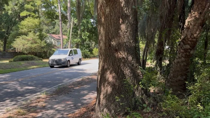 James Island residents urge SCDOT to remove tree blocking traffic view, citing safety risk