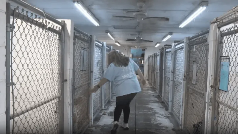 St. Francis Animal Center seeks adopters as kennels fill during Empty the Shelters event