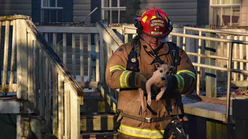 Fire crews rescue several animals, injured resident in Colleton County mobile home fire