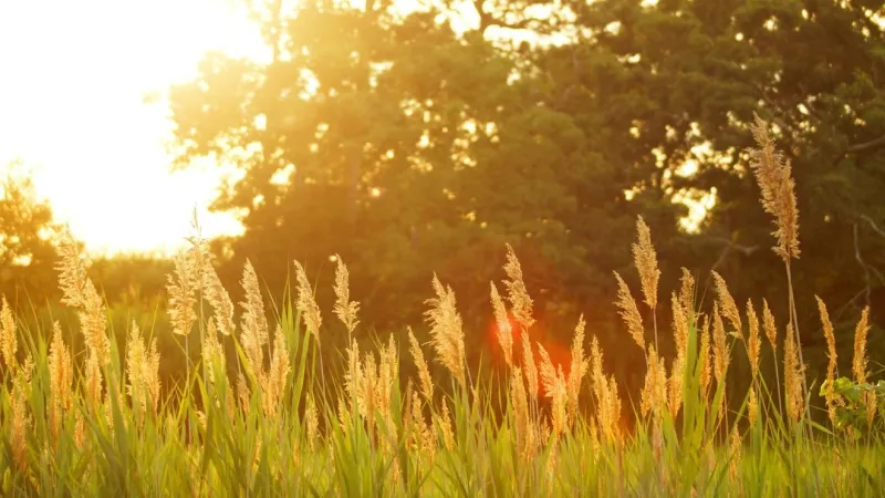 A few more hot days before relief arrives