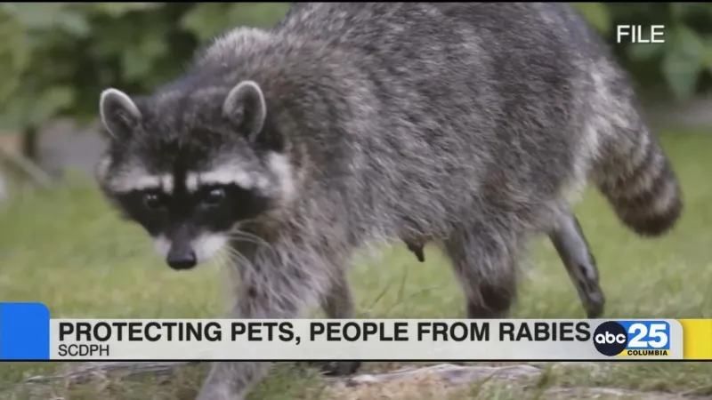 Rabies -- how to protect your pets and loved ones from the virus