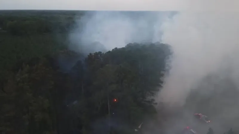 25-acre fire in Florence Co. contained, officials say