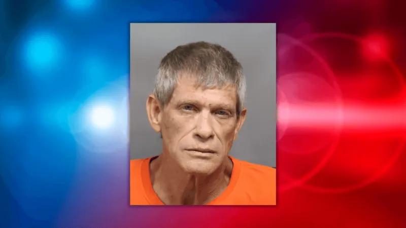 Man apprehended by sheriff's office k-9 after fleeing arrest in Ridgeville