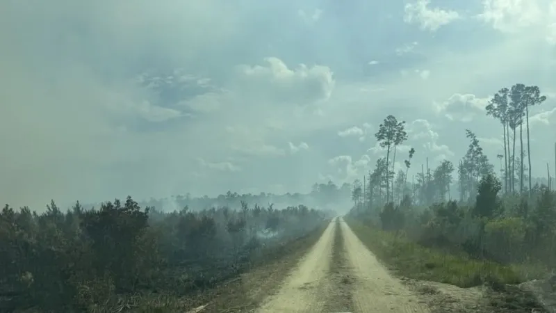 UPDATE: Horse Island Fire now at 20% contained, over 1,000 acres reported burned