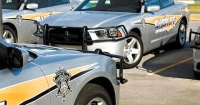 Eutawville man accused of having stolen vehicles