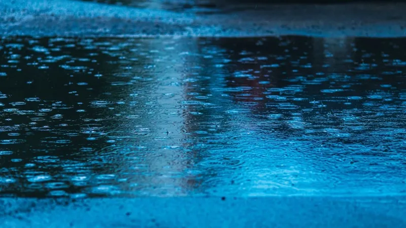 Rain and storms more likely Thursday through weekend