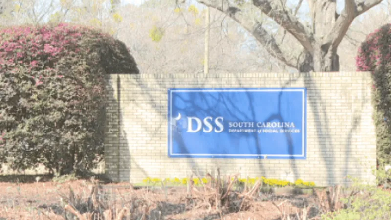 DSS guide details how to request SC child abuse registry screenings and get results